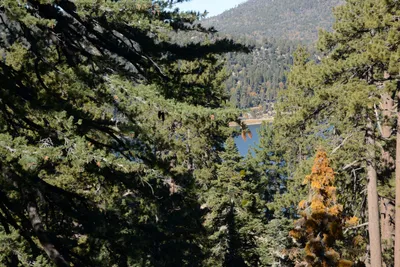 DSC_5093 (Large).JPG